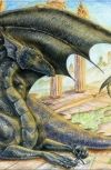 Обложка Хроники ехидного дракона