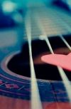 Обложка Ноты случая