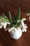 Обложка переводные картинки
