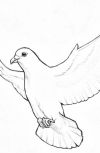 Обложка Размороженный голубь