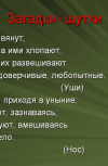 Обложка Игрушечка