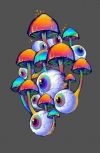 Обложка Когда танцевали грибы