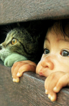 Обложка К фотографии "Малыш и кот"