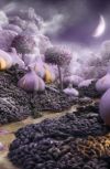 Обложка Фиолетовая планета