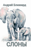 Обложка Слоны