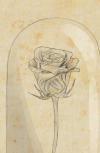 Обложка Роза