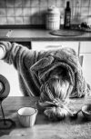 Обложка Утро начинается не с кофе